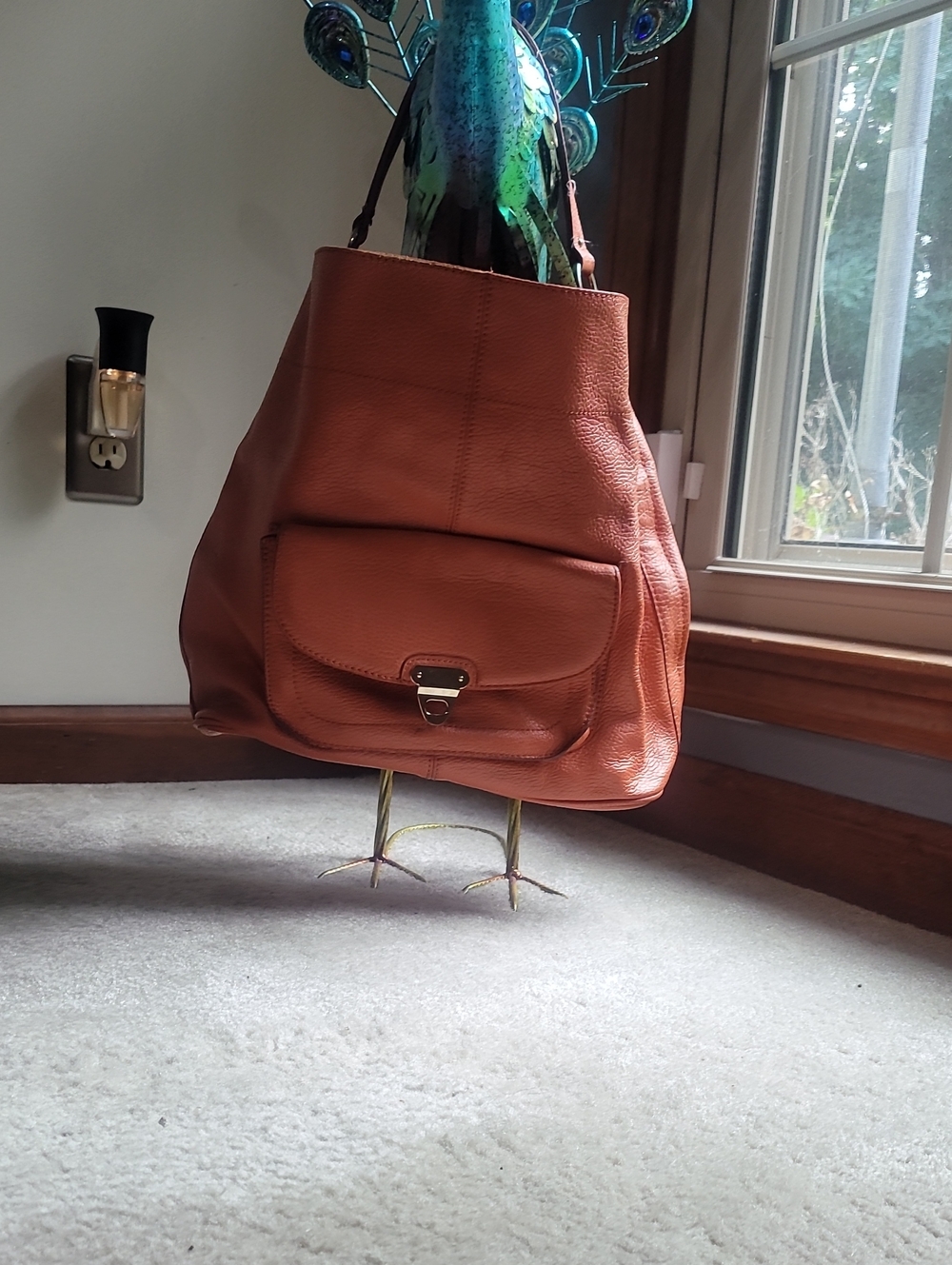 Banana Republic Leather Hobo Bag in Rustic Brown